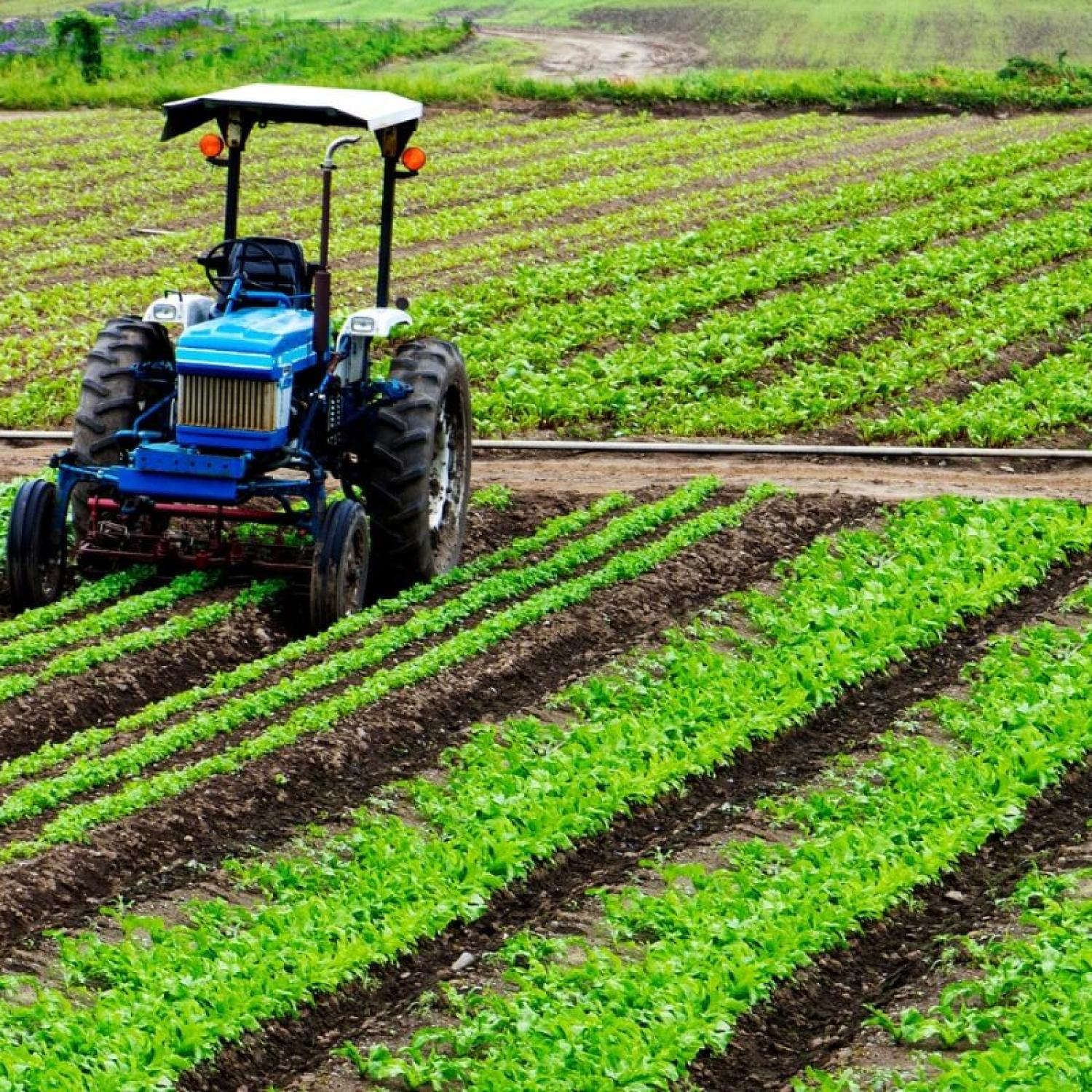 Agricultura